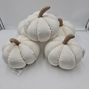 Ways To Celebrate Medium Pumpkin‎ Plush Pillow Ivory 5 Pk.
